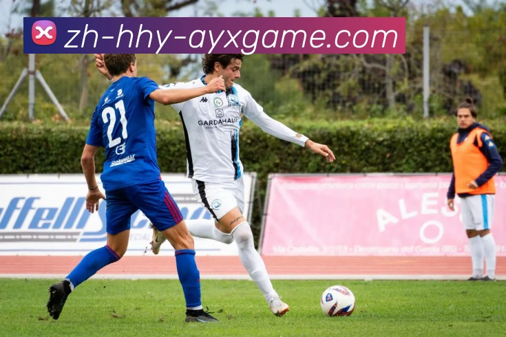 多媒体互动体验