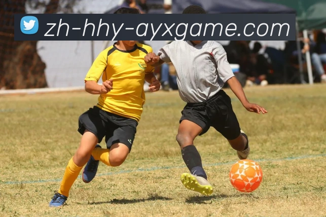 爱游戏APP 体育赛事宣传图